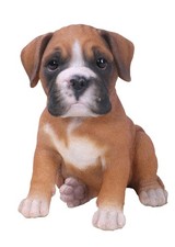 Boxer Puppy Dog - Lifelike