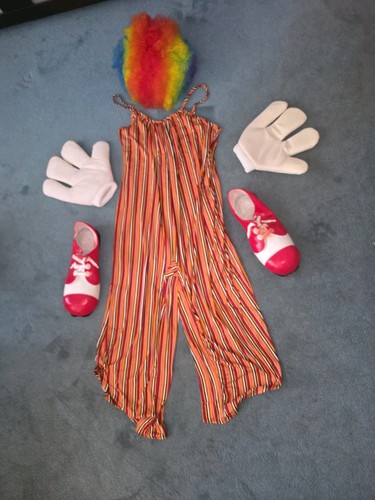 Complete full clown costume - full,
