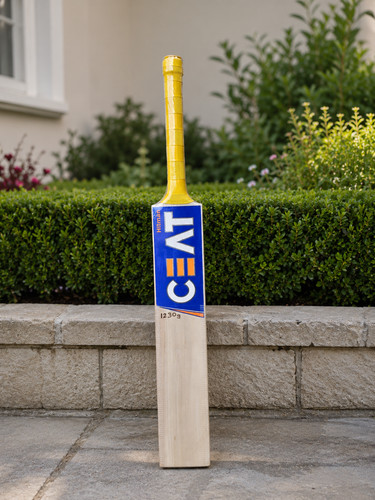 Cricket bat short handle - cricket,