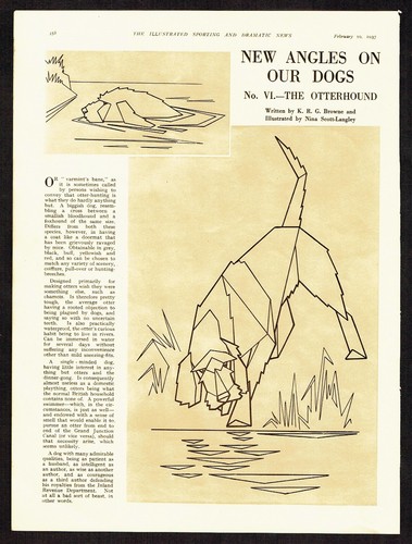 The otterhound nina - the,