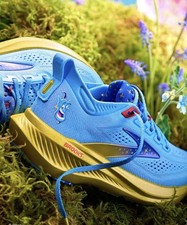 Brooks Glycerin 23 “Genie”