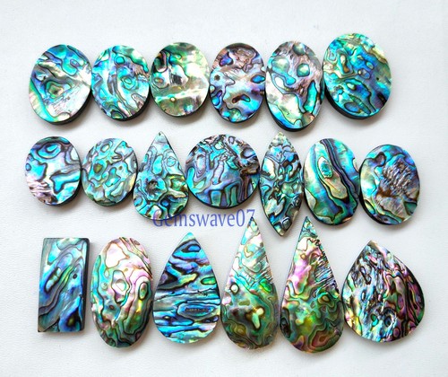 Natural abalone shell - abalone,