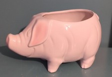 Park Rose Bridlington Pottery Pig Planter