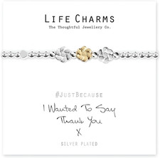 Life Charms I Wanted to Say