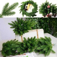 Pine Needle Plant Branch