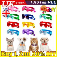 Dog & Cat Kitten Small Pet