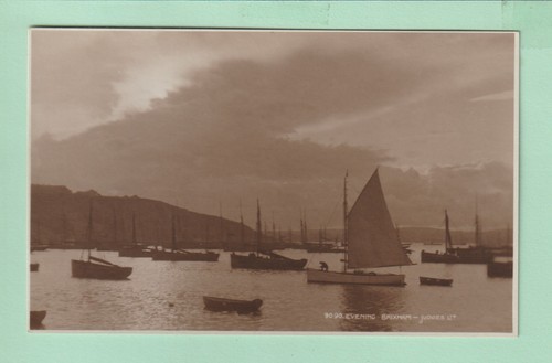 Devon postcard evenng - devon,
