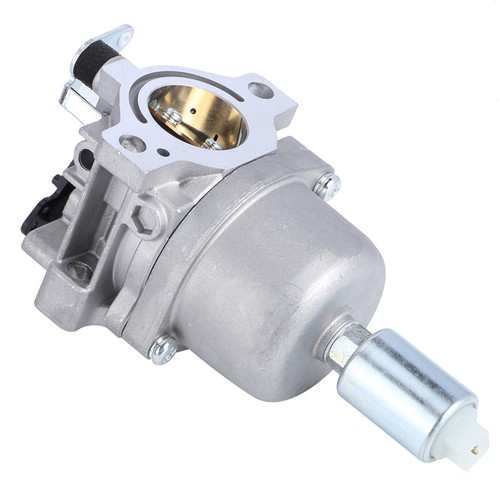Garden lawn mower - mower, carburetor