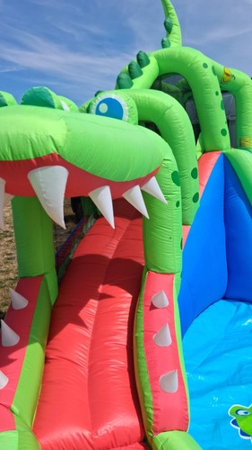 Happy hop crocodile cave - happy,