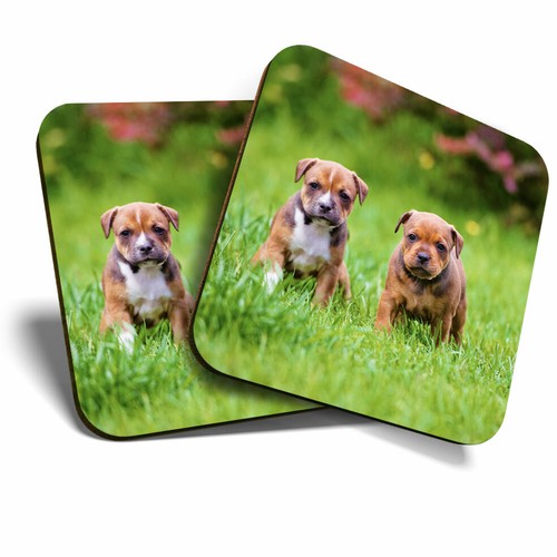 Coasters staffordshire - coasters,