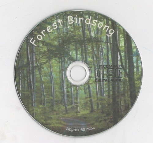Spring forest bird songs - spring,