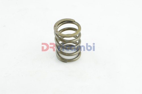 Internal clutch spring - internal,