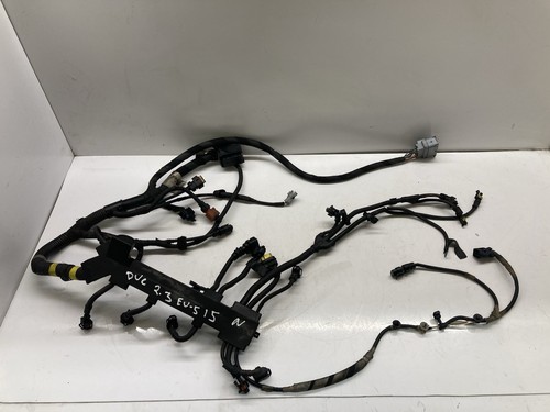 Engine wiring loom - loom, for