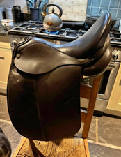 Albion dressage g platinum