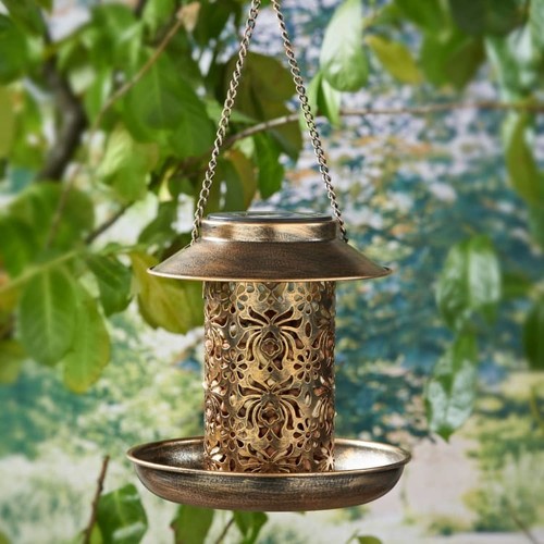 Solar light bird - light, feeder