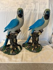 TWO HEAVY BEAUTIFUL PARROTS ON
