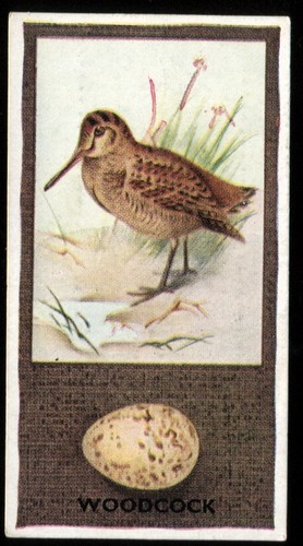 Tobacco card godfrey - tobacco,