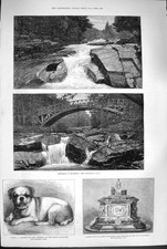 Original Old Antique Print 1880 Braemar Scotland Patty Pug Dog Casket Bessemer