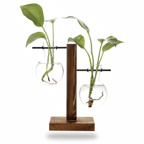 Hydroponic plant vase vintage - plant,