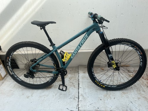 Santa cruz chameleon - santa,