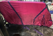 Whitaker Fushia Cotton Sheet 6.9