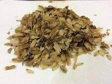 Hops Flowers Dried (Humulus Lupulus) A Grade Premium Quality Free UK P&P