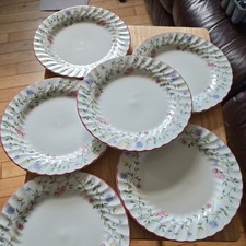 6 Summer Chintz Dinner Plates