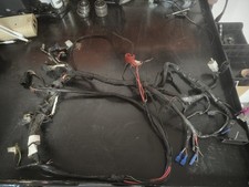 2007 CPI SM 50 Wiring Loom