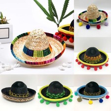 Funny Nice Mini Mexican Hat on
