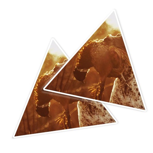 Triangle shape vinyl - 2x,