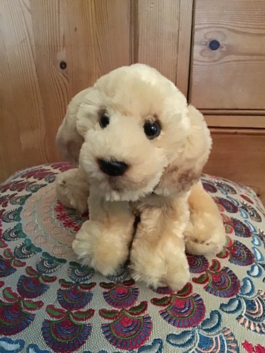 Russ golden lab labrador - golden,