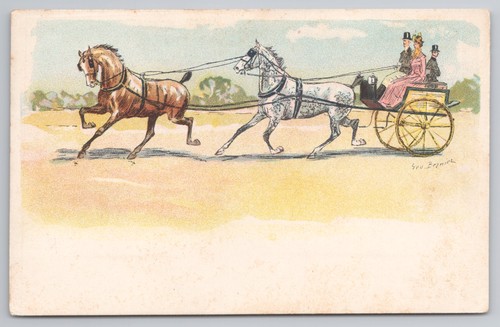 Horse drawn carriage pair - horse,