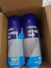 Rapide Anti Mould Spray Paint