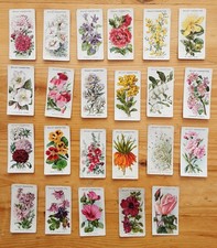 Wills Cigarette Cards : Old English Garden Flowers