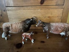 Beswick Dairy Shorthorn Family