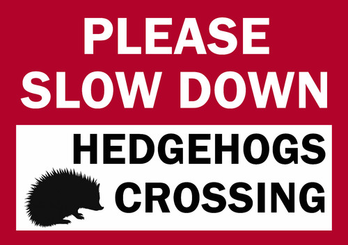 Please slow down hedgehogs