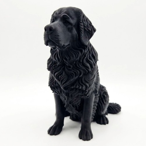 Newfoundland dog - newfoundland,