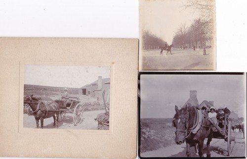 Three antique photographs - three,