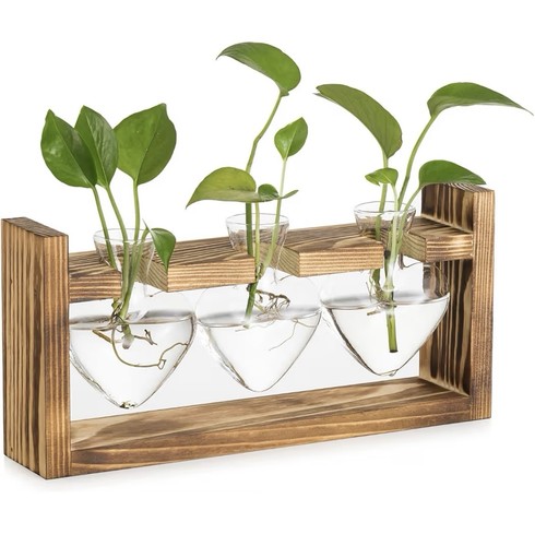 Glass propagation station - glass, for
