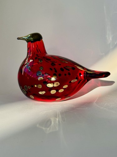 Ruby bird nuutajärvi - bird,