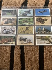 Vintage GRANDEE CIGAR CARD