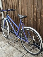 Raleigh Calypso Women's Bike