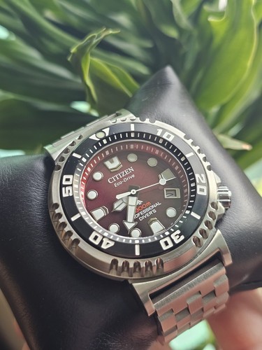 Citizen promaster - citizen,