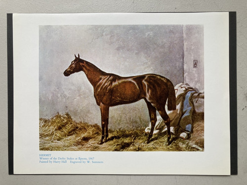 Vintage horse racing print - print,