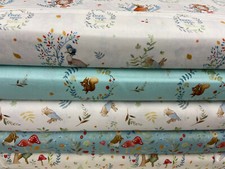 Beatrix Potter Peter Rabbit