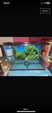 40L Fish Tank Aquarium. Need selling now. Grab a bargain. ?