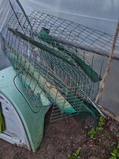 Chicken Coop And 2 Meter Run