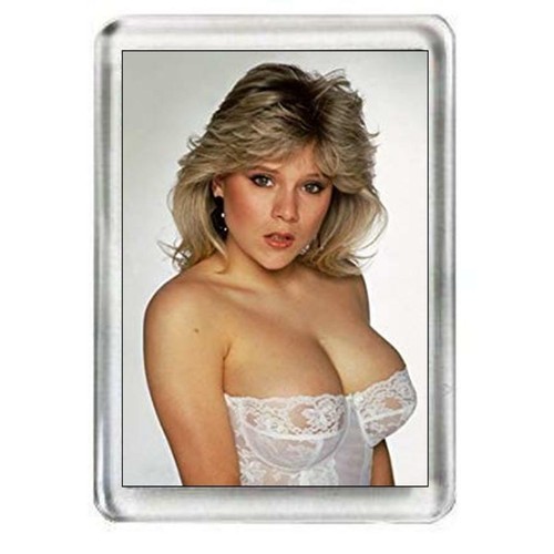Sam fox sexy fridge - sexy,