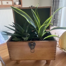 Vintage Wooden Shoe Shine Box