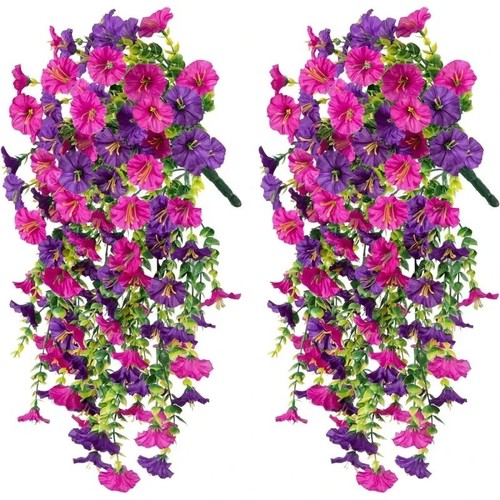 Metal garden arch rose plant - garden,